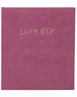 Livre d'or - 270 x 220 mm - 100 pages - Gris : EXACOMPTA Ellipse image