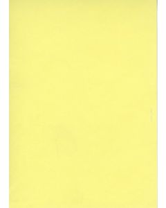 Fiches Bristol - Jaune uni - 125 x 200 mm ELVE B125J