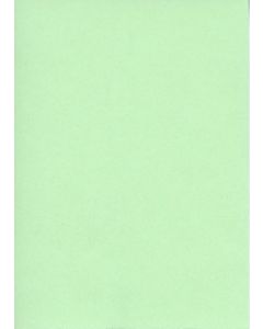 Fiches Bristol Unies - 125 x 200 mm - Vert ELVE Lot de 100